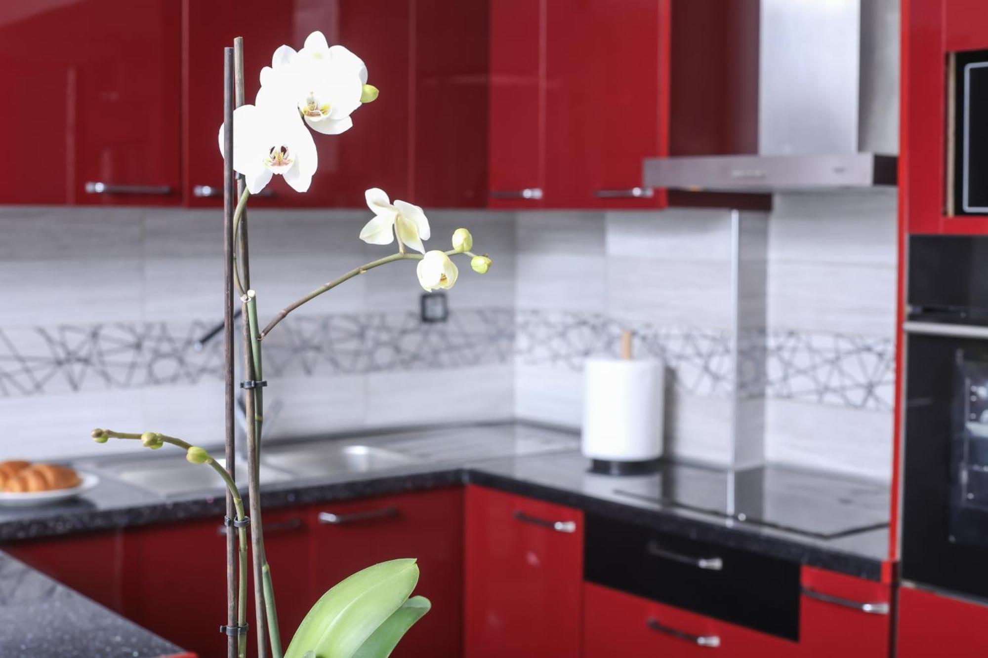 Tatil Evi Casa Di Cateri *